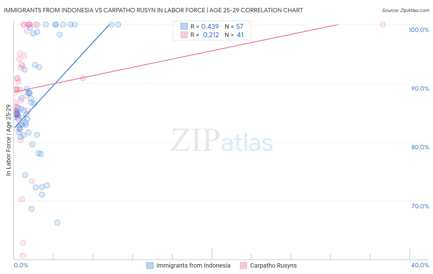 Immigrants from Indonesia vs Carpatho Rusyn In Labor Force | Age 25-29