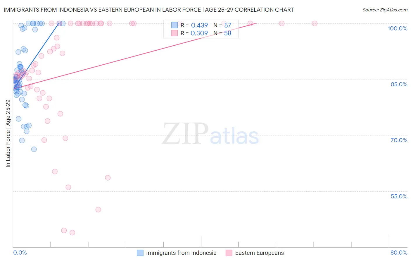 Immigrants from Indonesia vs Eastern European In Labor Force | Age 25-29