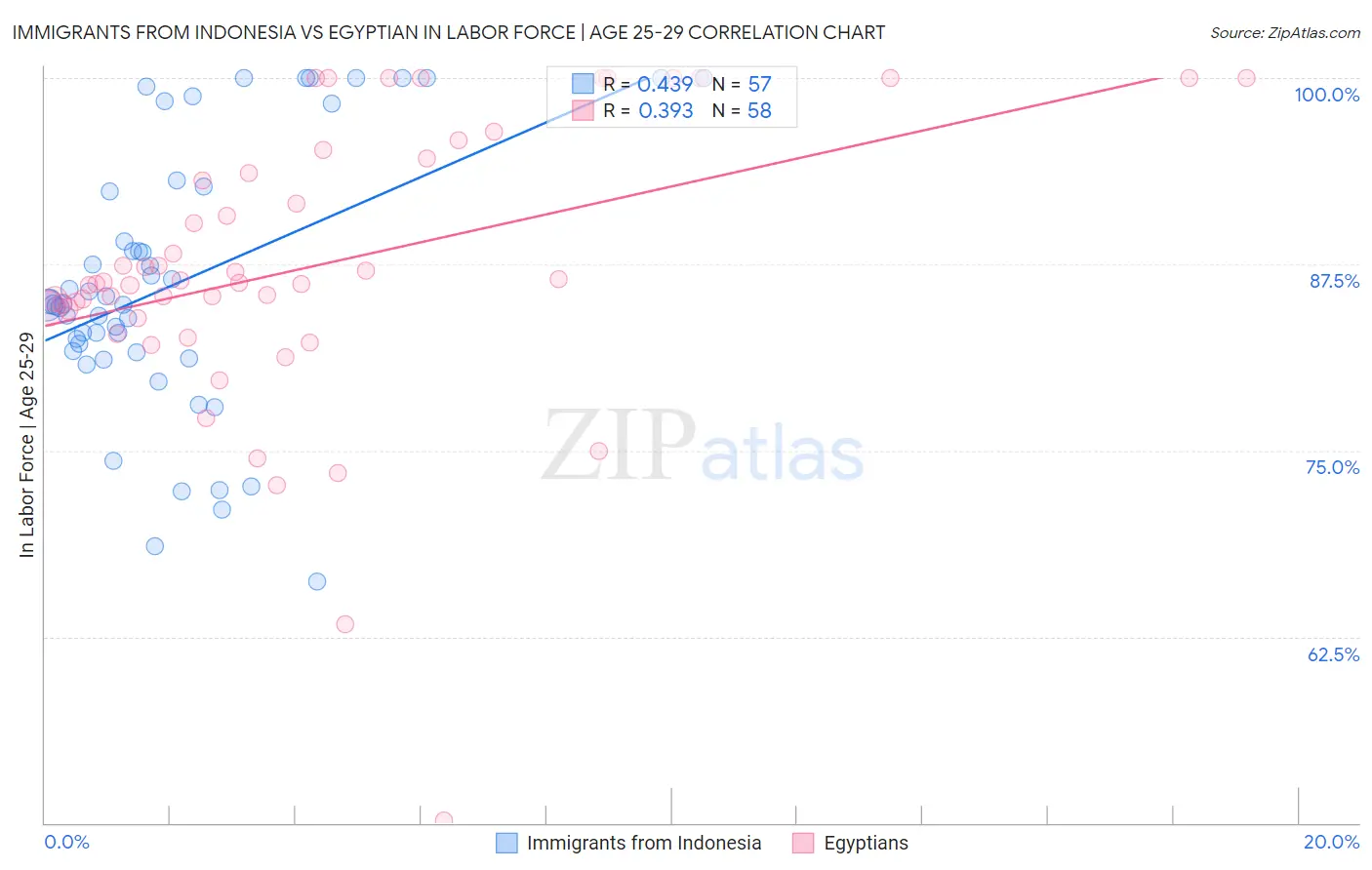 Immigrants from Indonesia vs Egyptian In Labor Force | Age 25-29