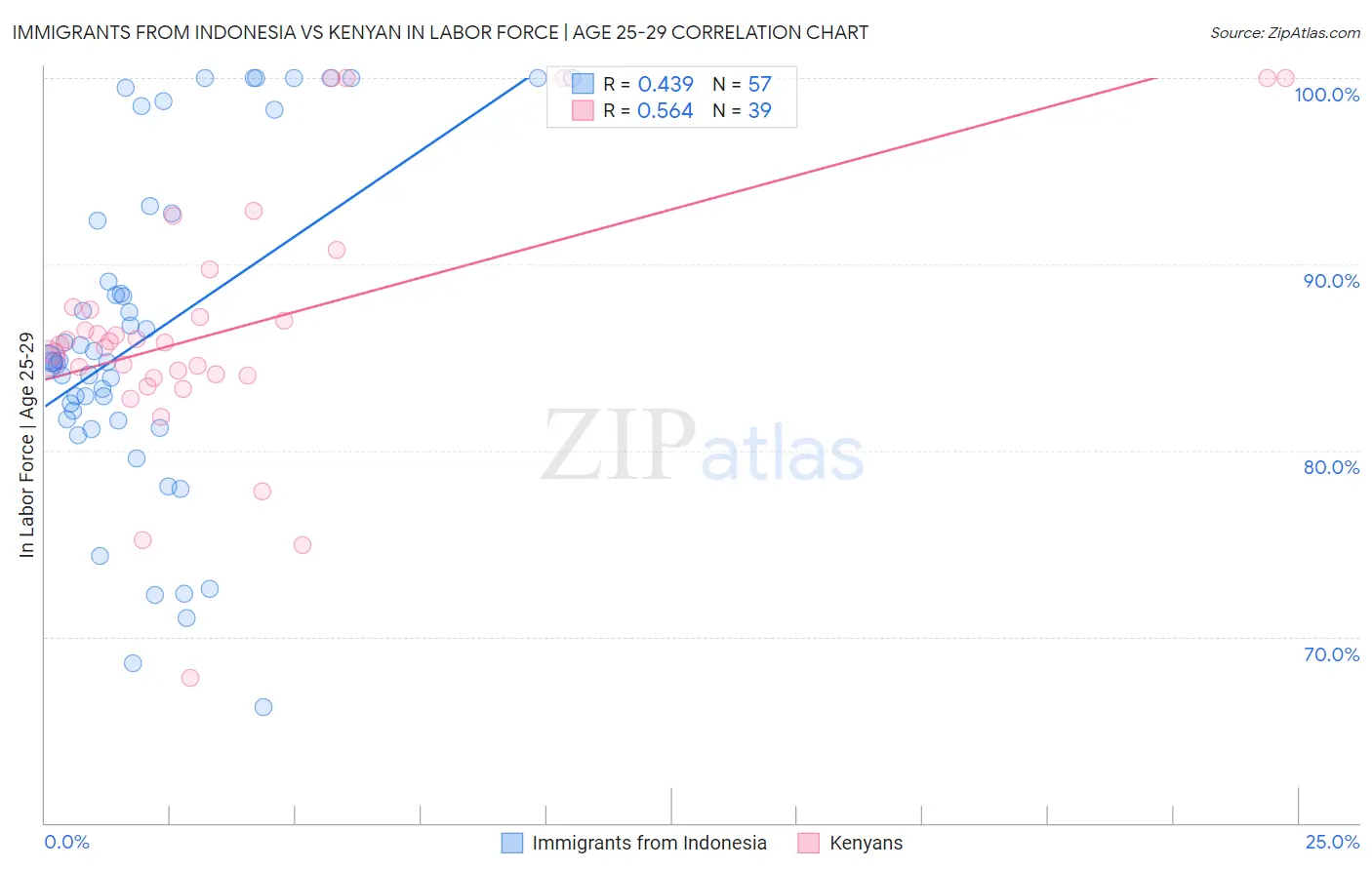 Immigrants from Indonesia vs Kenyan In Labor Force | Age 25-29