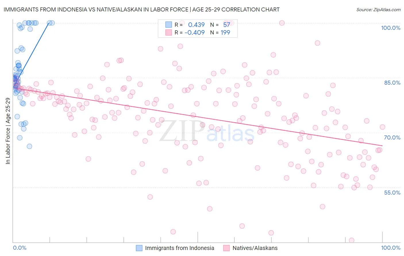 Immigrants from Indonesia vs Native/Alaskan In Labor Force | Age 25-29