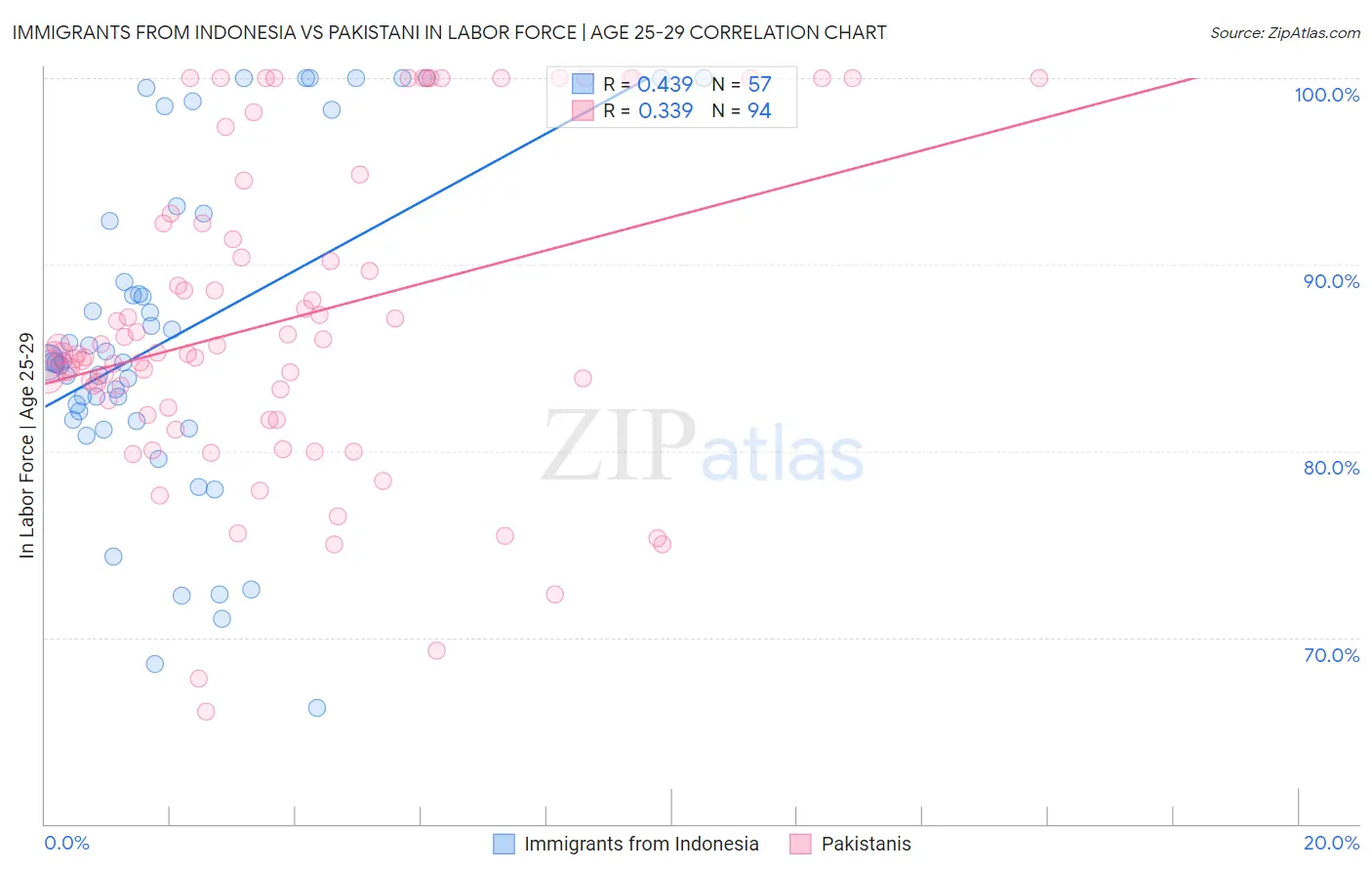 Immigrants from Indonesia vs Pakistani In Labor Force | Age 25-29