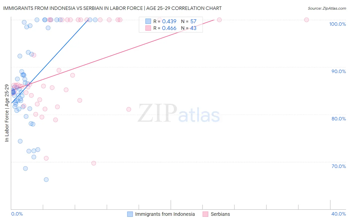 Immigrants from Indonesia vs Serbian In Labor Force | Age 25-29