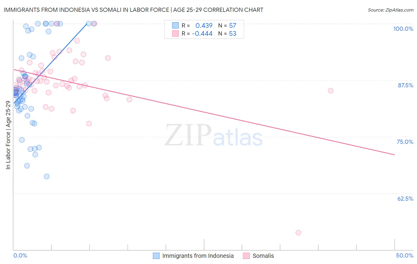 Immigrants from Indonesia vs Somali In Labor Force | Age 25-29
