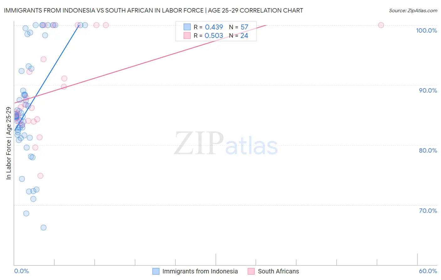 Immigrants from Indonesia vs South African In Labor Force | Age 25-29