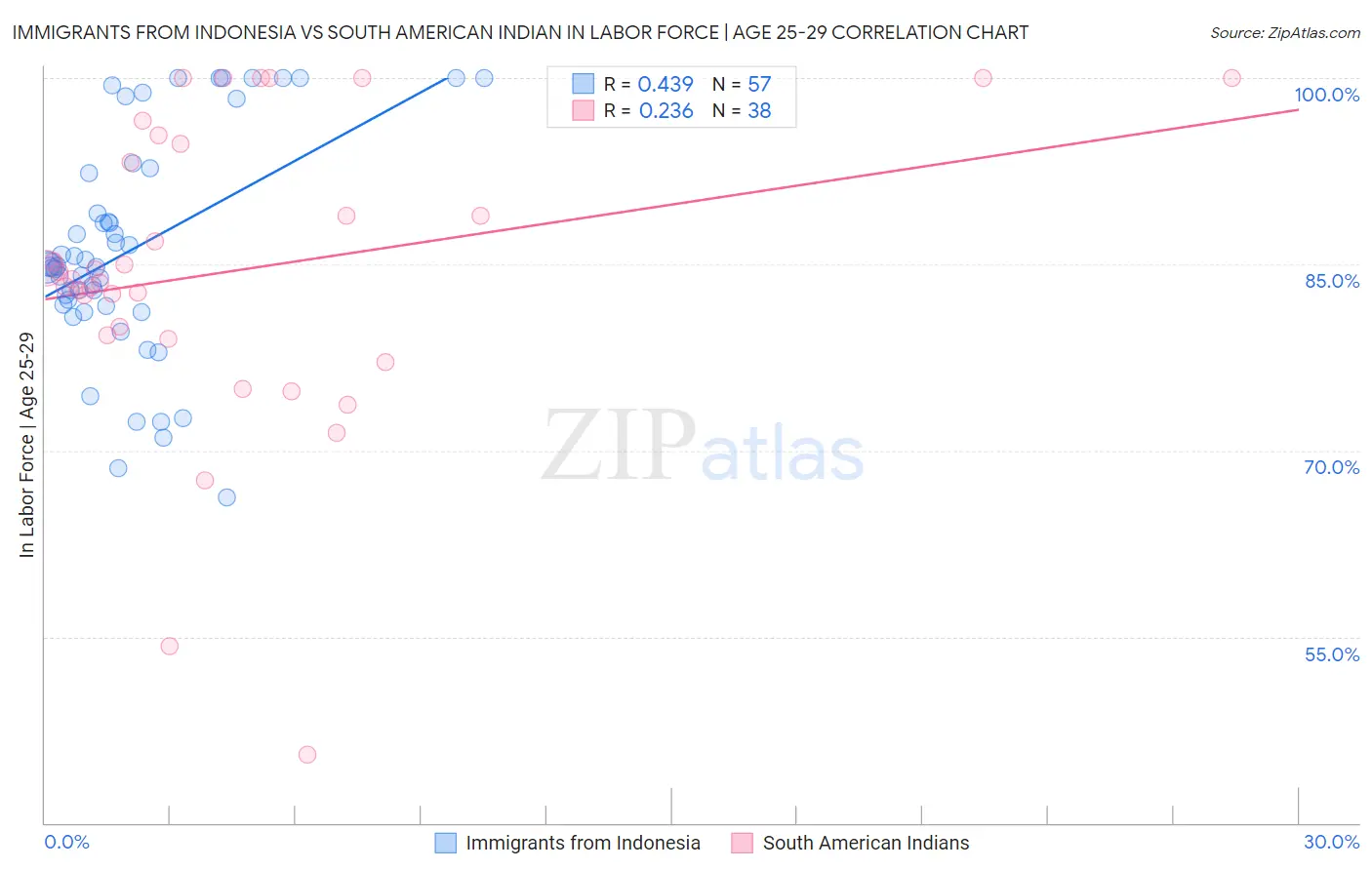 Immigrants from Indonesia vs South American Indian In Labor Force | Age 25-29