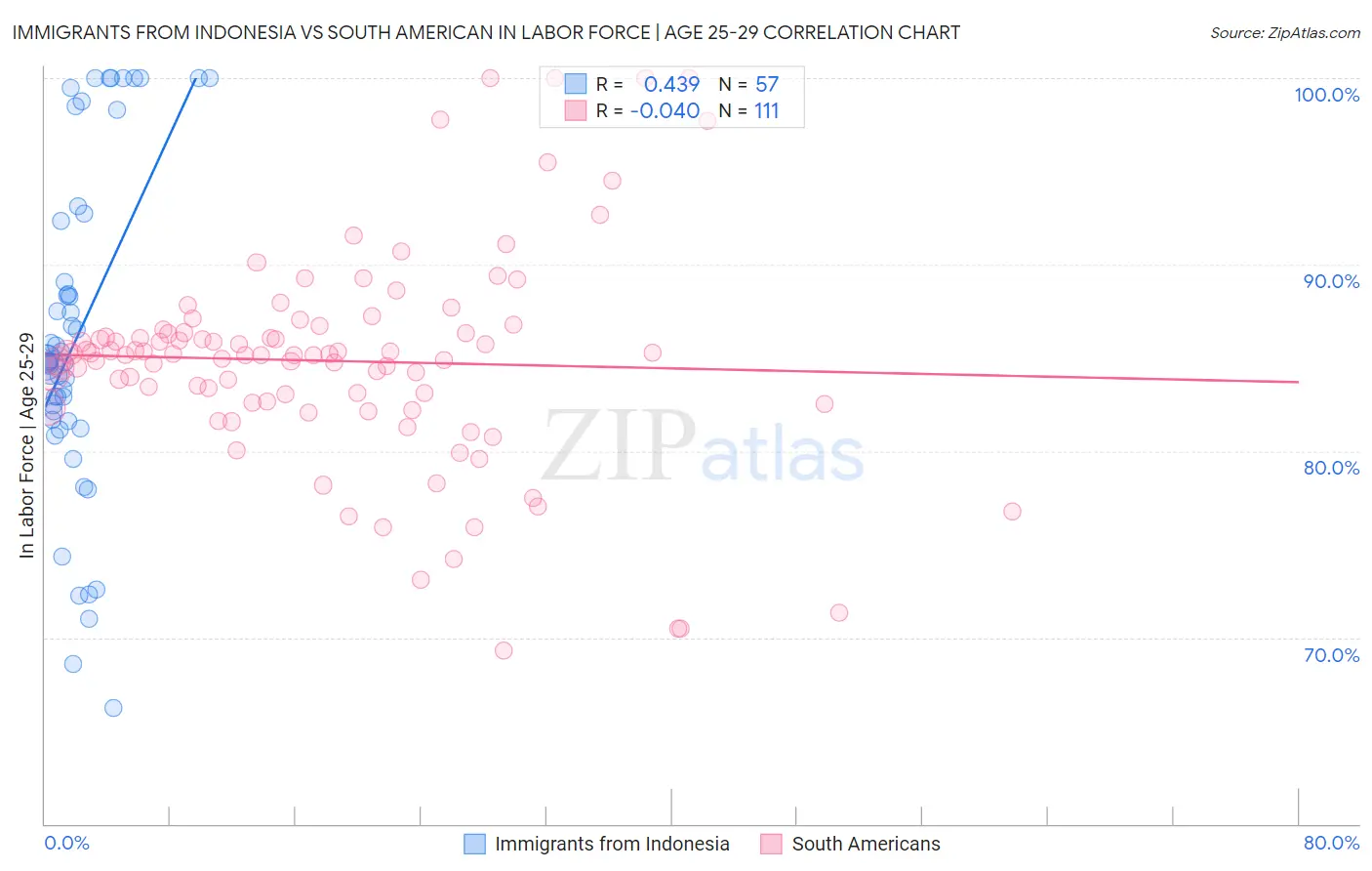 Immigrants from Indonesia vs South American In Labor Force | Age 25-29
