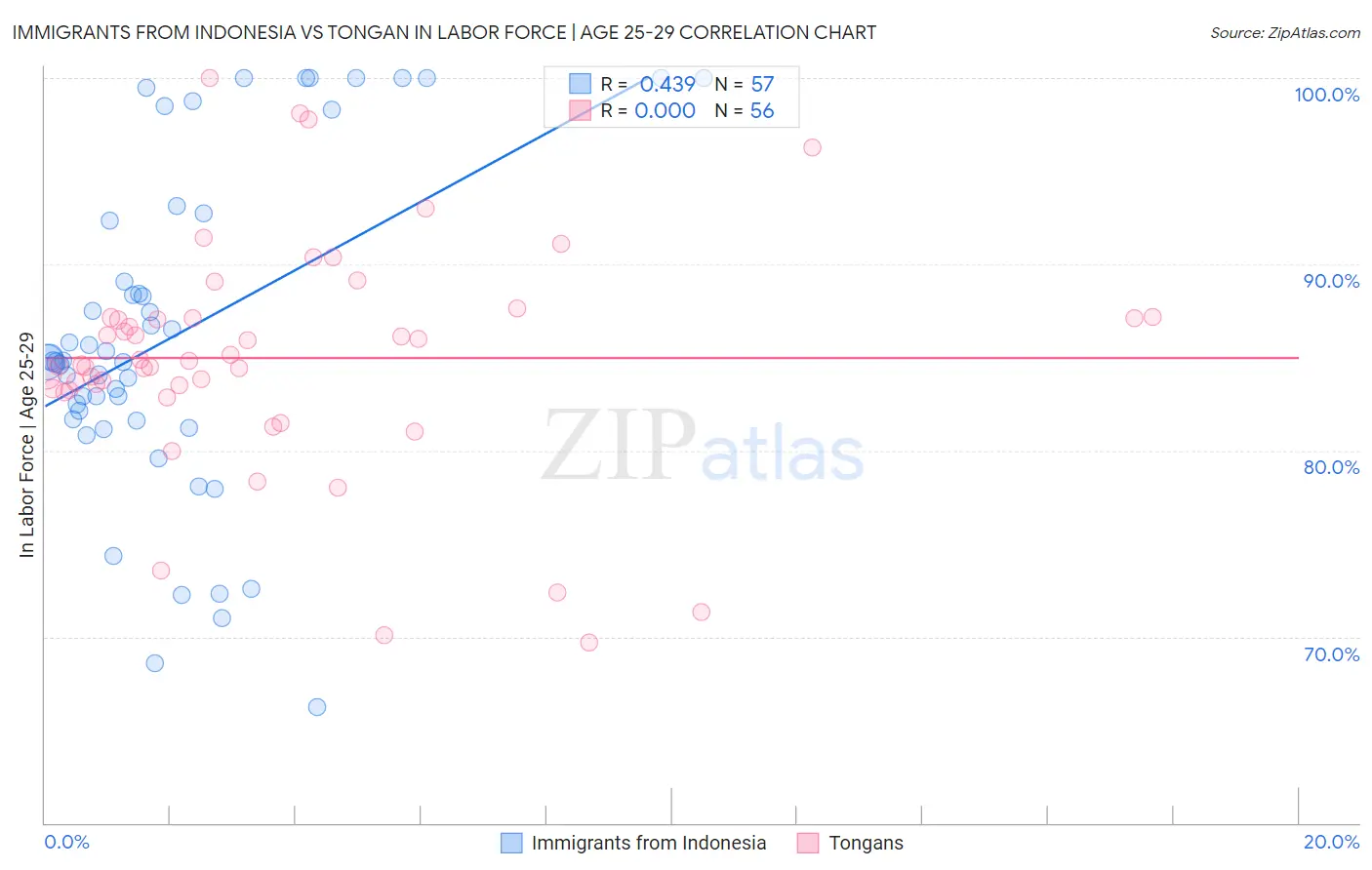 Immigrants from Indonesia vs Tongan In Labor Force | Age 25-29
