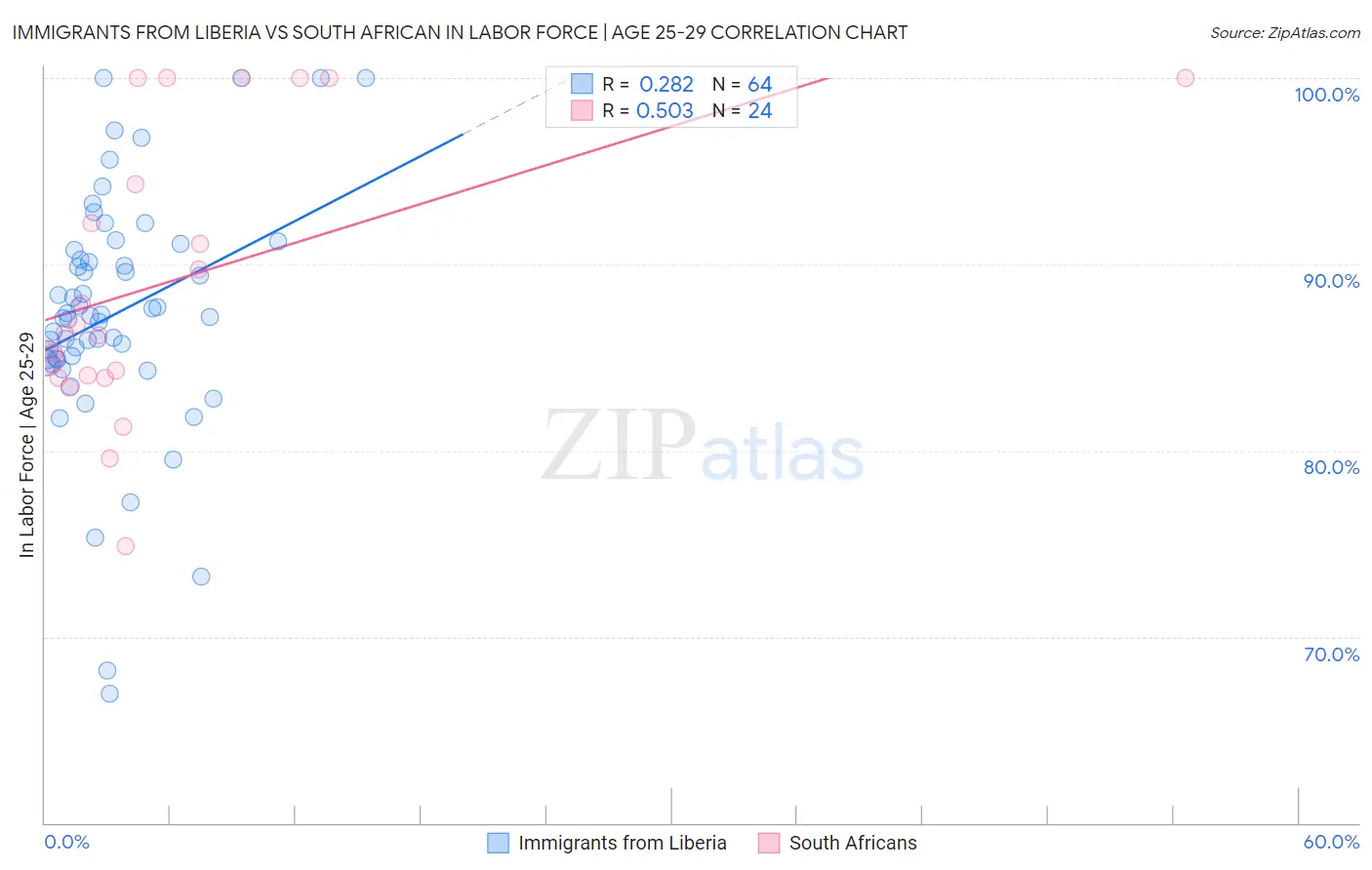 Immigrants from Liberia vs South African In Labor Force | Age 25-29