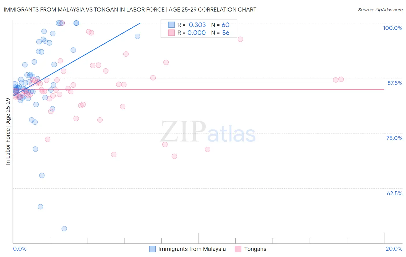 Immigrants from Malaysia vs Tongan In Labor Force | Age 25-29
