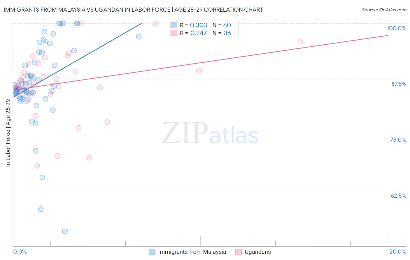 Immigrants from Malaysia vs Ugandan In Labor Force | Age 25-29