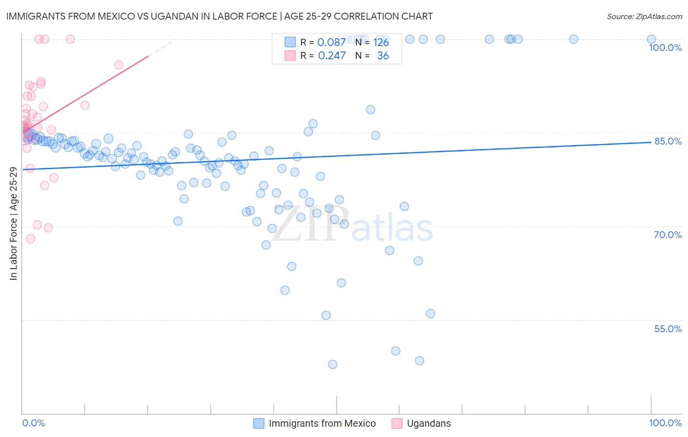 Immigrants from Mexico vs Ugandan In Labor Force | Age 25-29