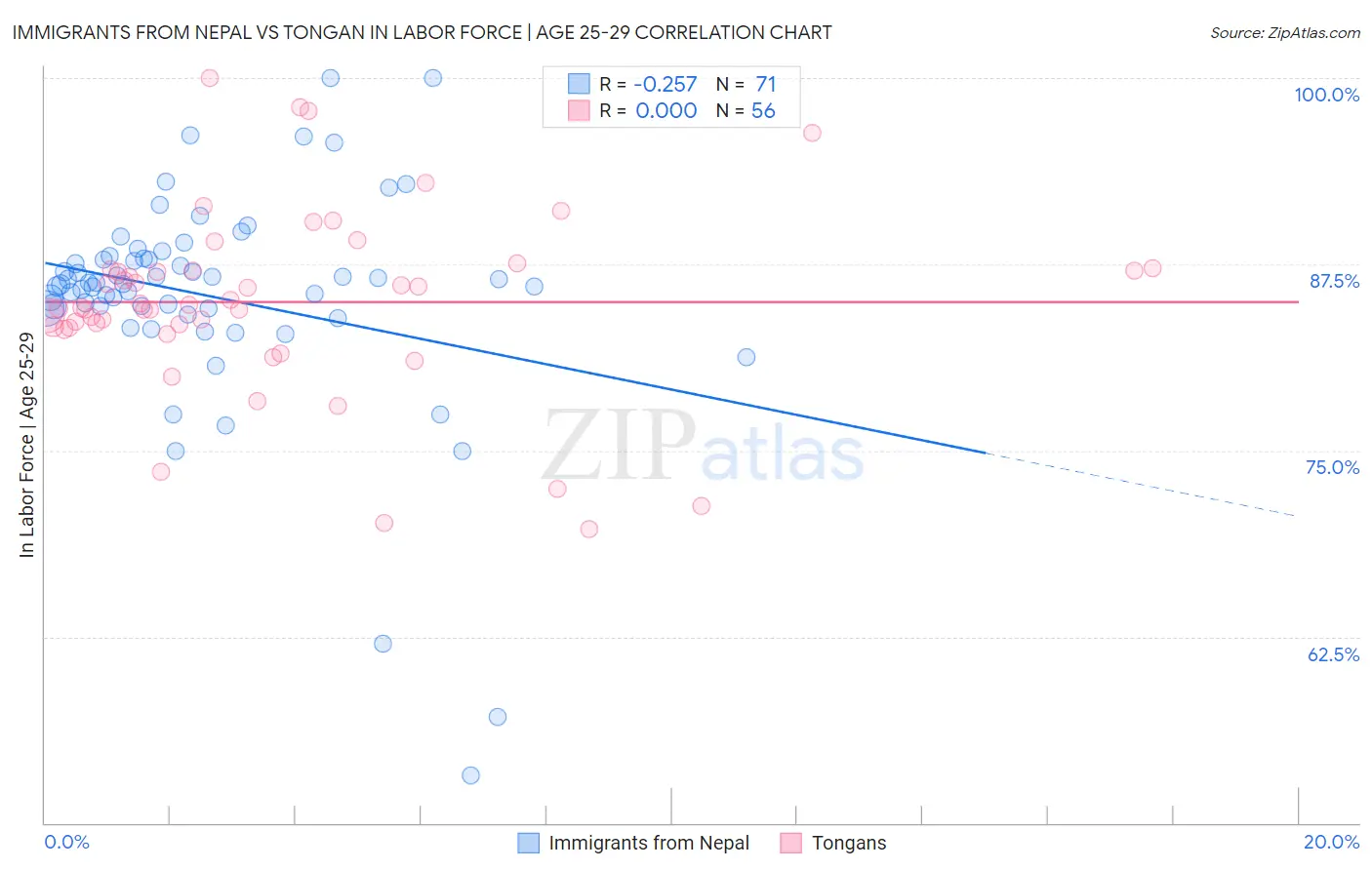 Immigrants from Nepal vs Tongan In Labor Force | Age 25-29