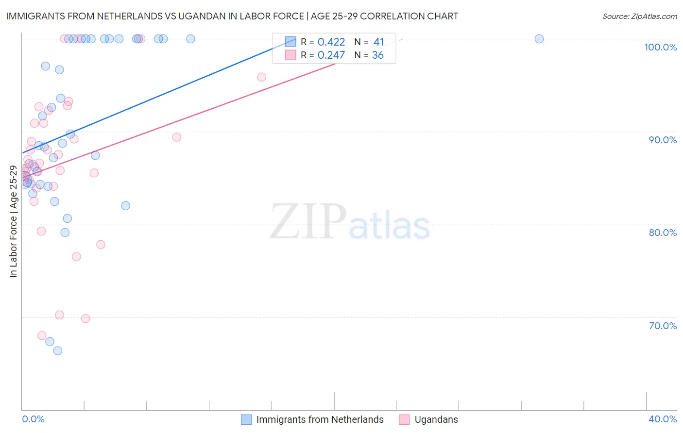 Immigrants from Netherlands vs Ugandan In Labor Force | Age 25-29