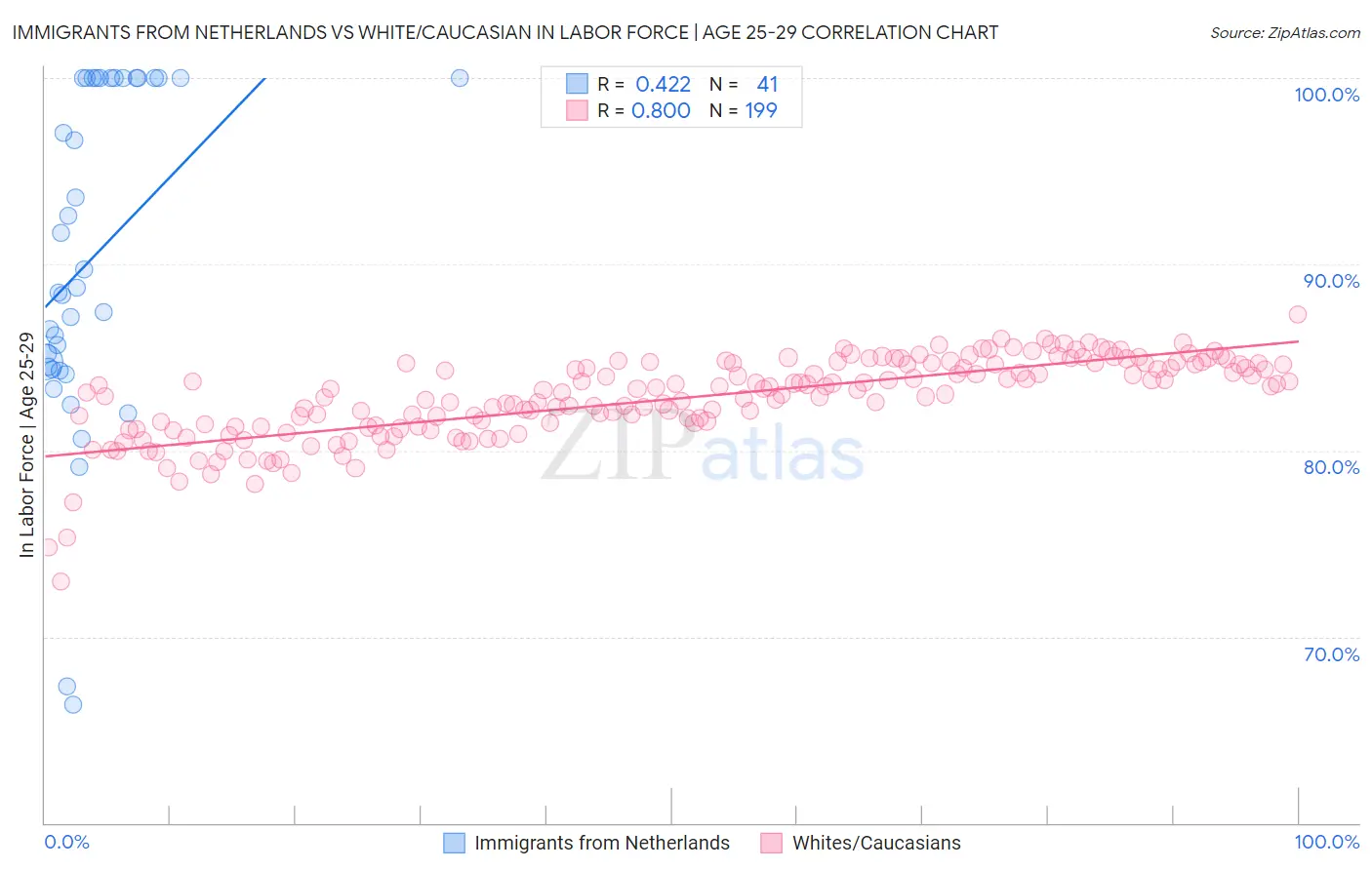 Immigrants from Netherlands vs White/Caucasian In Labor Force | Age 25-29