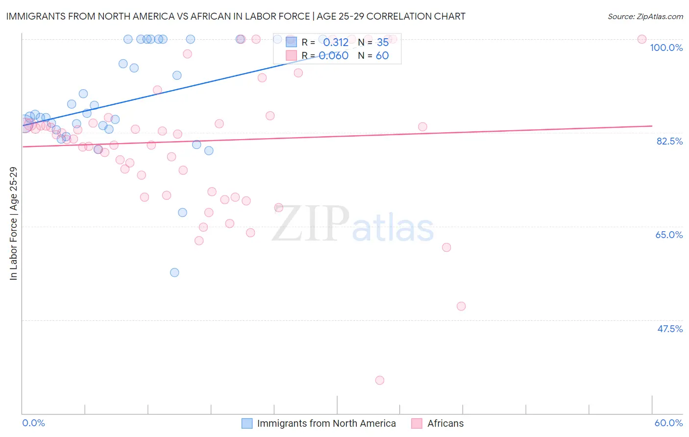Immigrants from North America vs African In Labor Force | Age 25-29