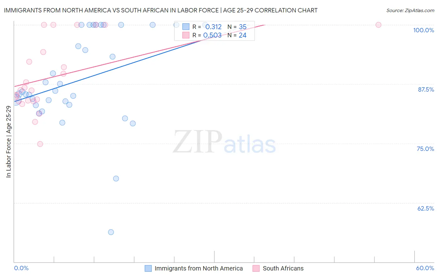 Immigrants from North America vs South African In Labor Force | Age 25-29