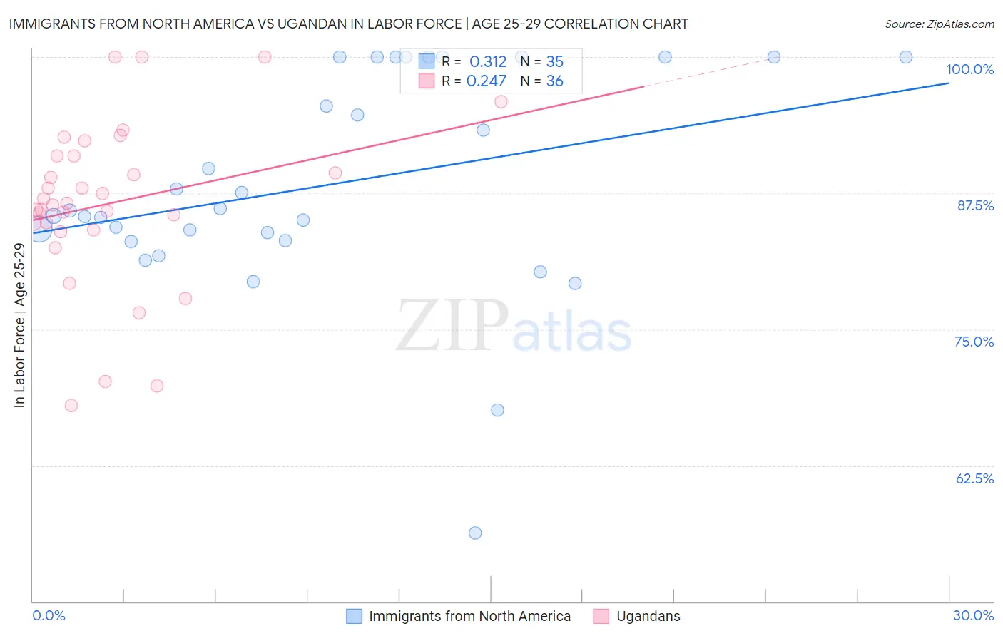 Immigrants from North America vs Ugandan In Labor Force | Age 25-29