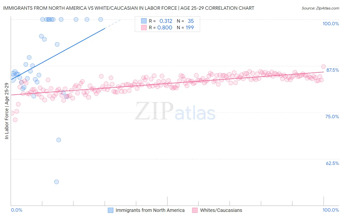 Immigrants from North America vs White/Caucasian In Labor Force | Age 25-29