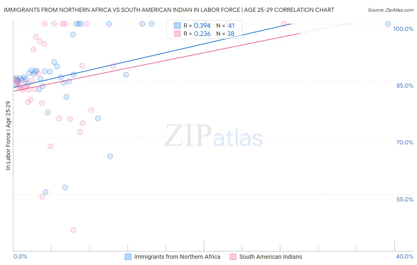 Immigrants from Northern Africa vs South American Indian In Labor Force | Age 25-29