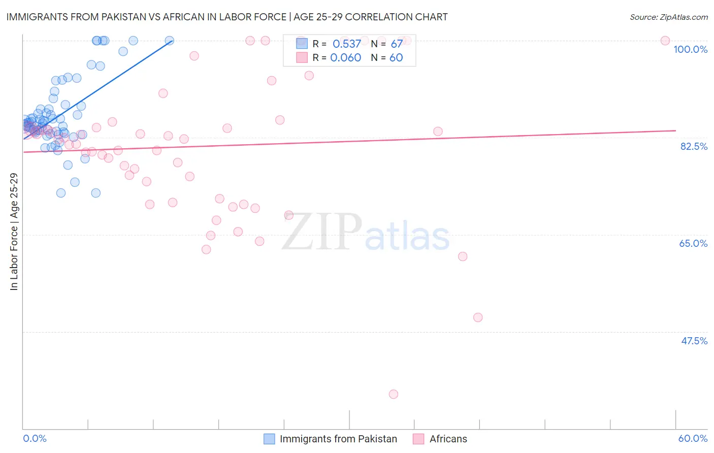 Immigrants from Pakistan vs African In Labor Force | Age 25-29