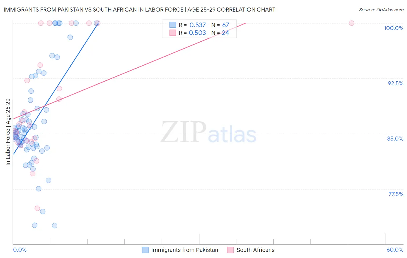 Immigrants from Pakistan vs South African In Labor Force | Age 25-29