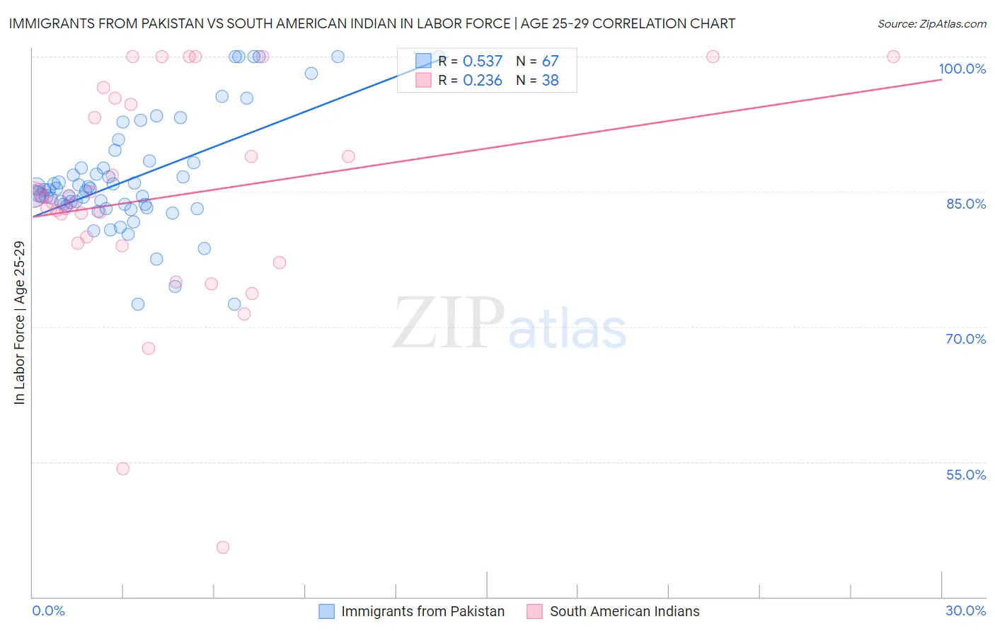 Immigrants from Pakistan vs South American Indian In Labor Force | Age 25-29