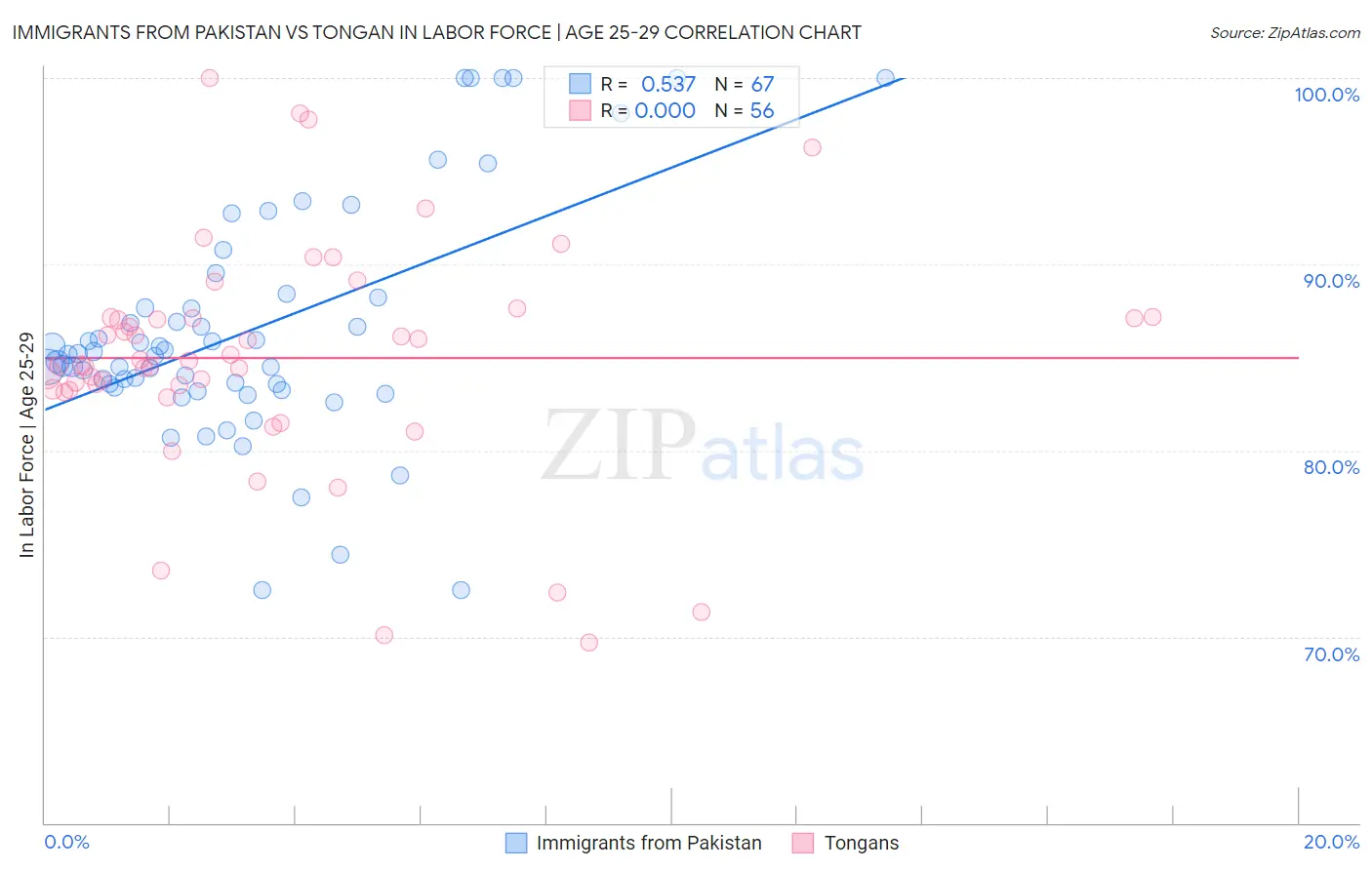 Immigrants from Pakistan vs Tongan In Labor Force | Age 25-29