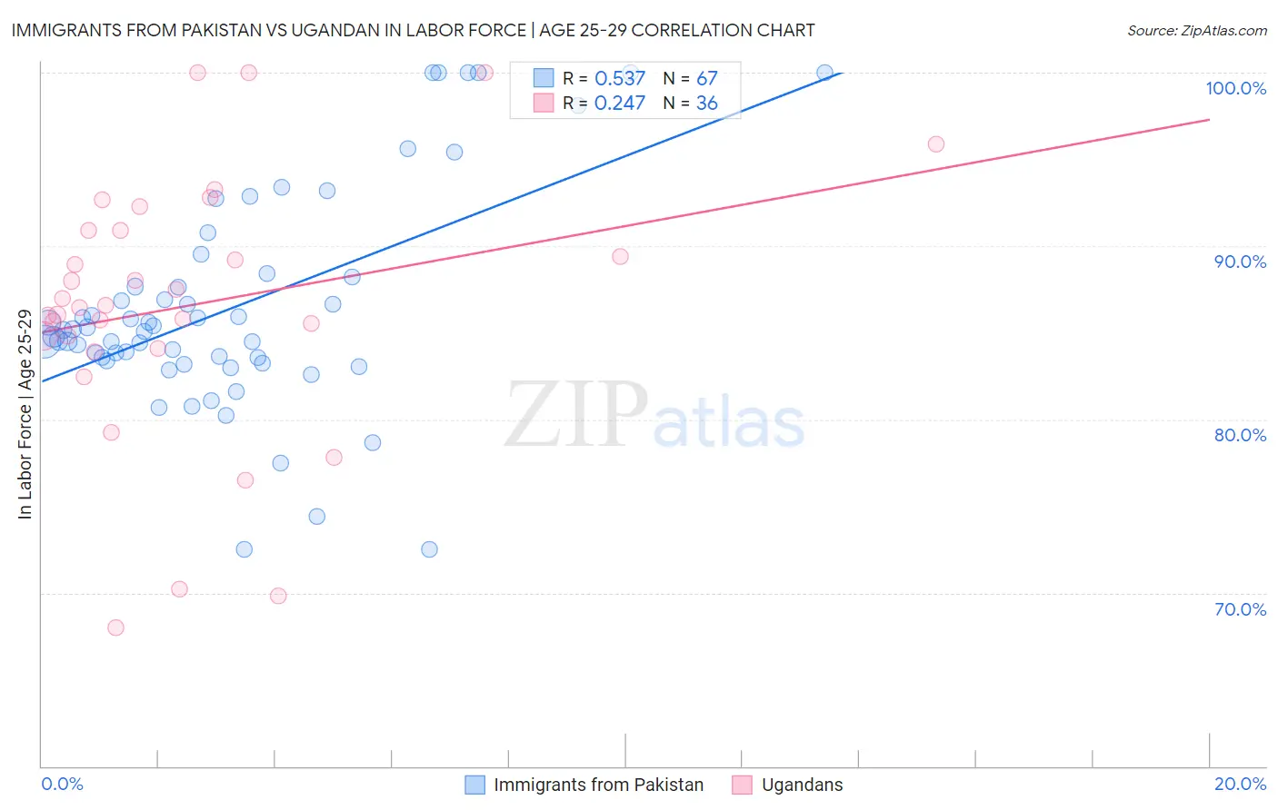 Immigrants from Pakistan vs Ugandan In Labor Force | Age 25-29