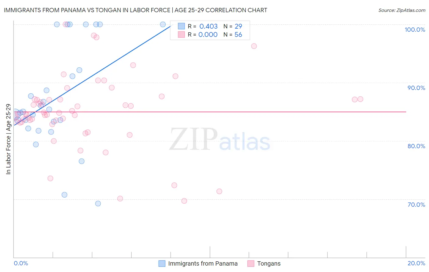 Immigrants from Panama vs Tongan In Labor Force | Age 25-29