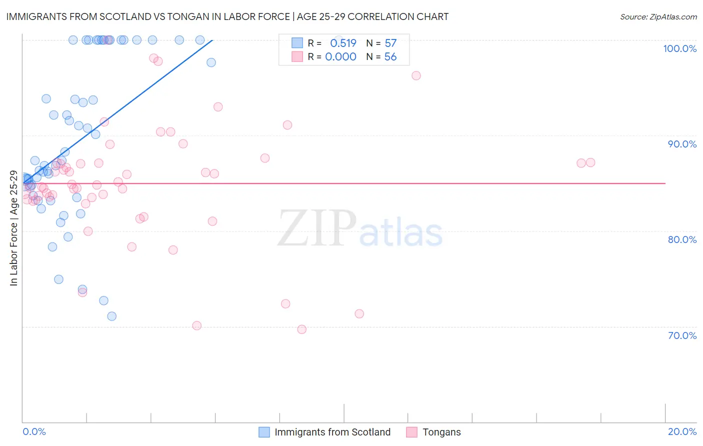 Immigrants from Scotland vs Tongan In Labor Force | Age 25-29