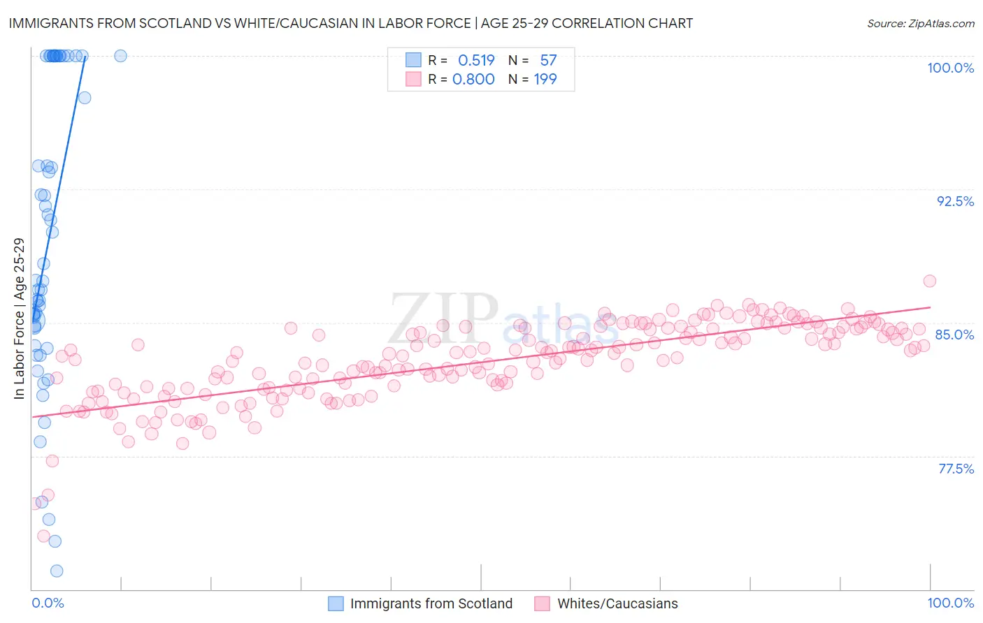 Immigrants from Scotland vs White/Caucasian In Labor Force | Age 25-29