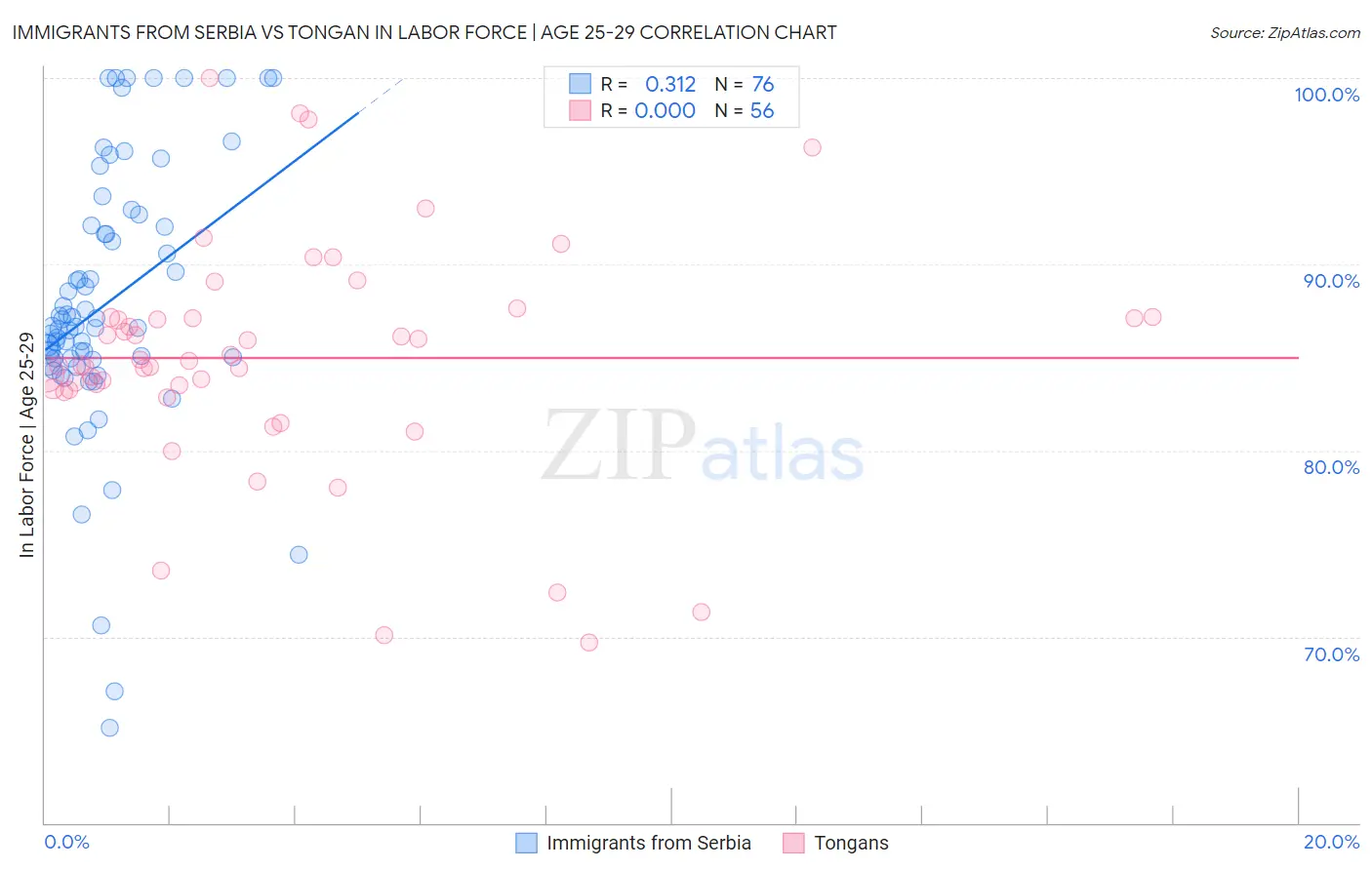 Immigrants from Serbia vs Tongan In Labor Force | Age 25-29