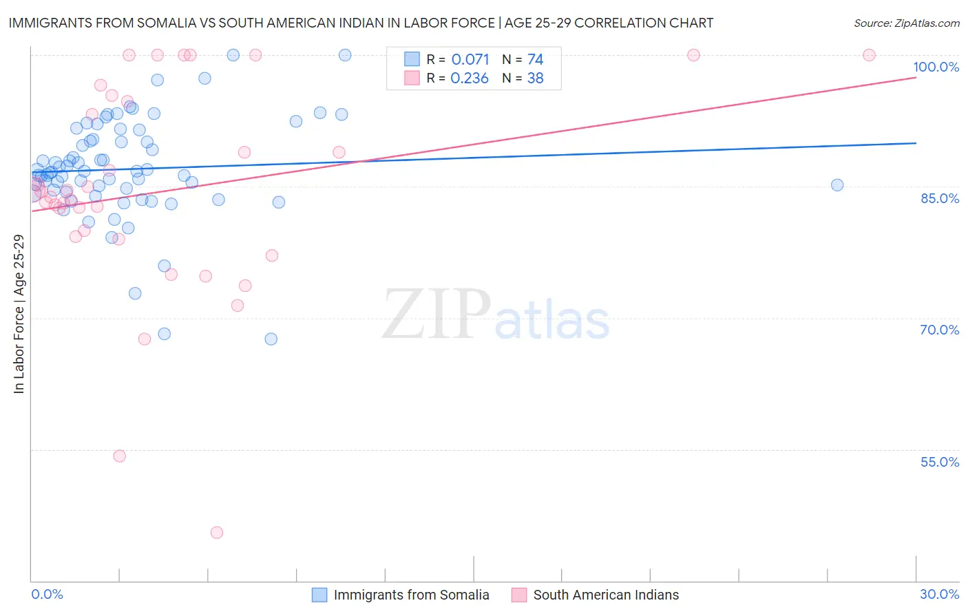 Immigrants from Somalia vs South American Indian In Labor Force | Age 25-29