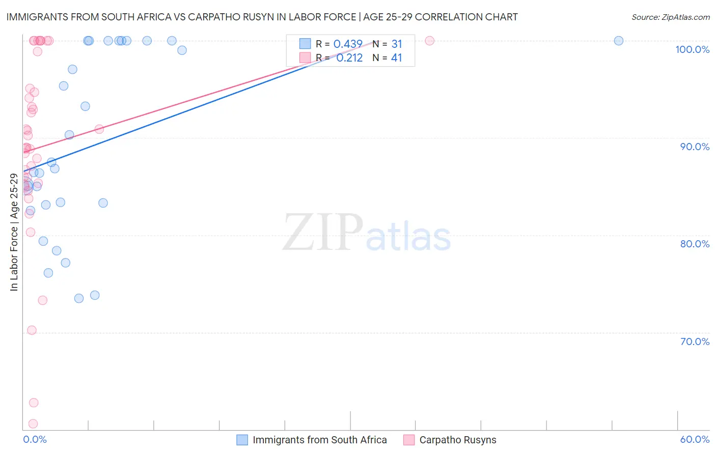 Immigrants from South Africa vs Carpatho Rusyn In Labor Force | Age 25-29