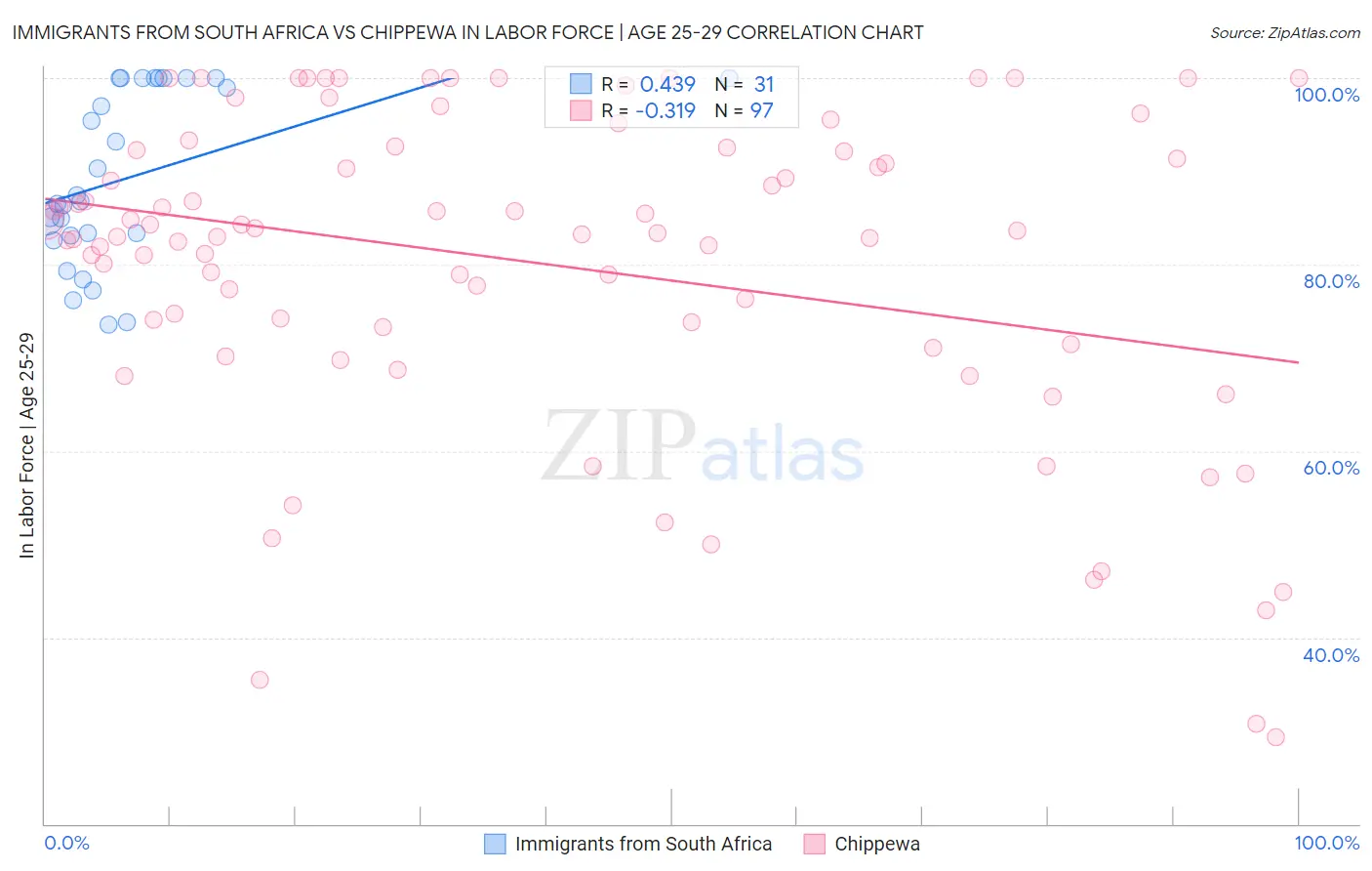 Immigrants from South Africa vs Chippewa In Labor Force | Age 25-29