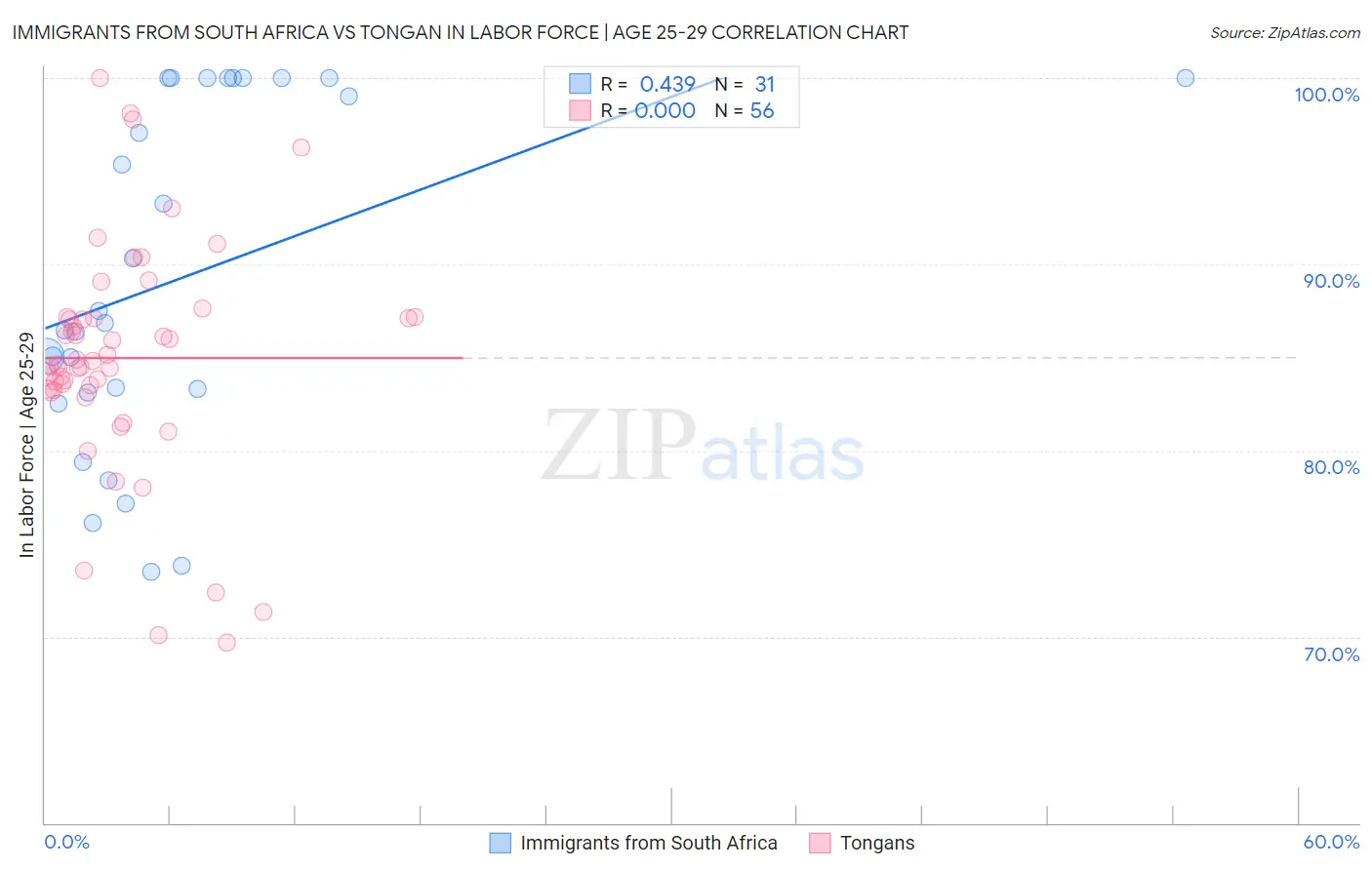 Immigrants from South Africa vs Tongan In Labor Force | Age 25-29