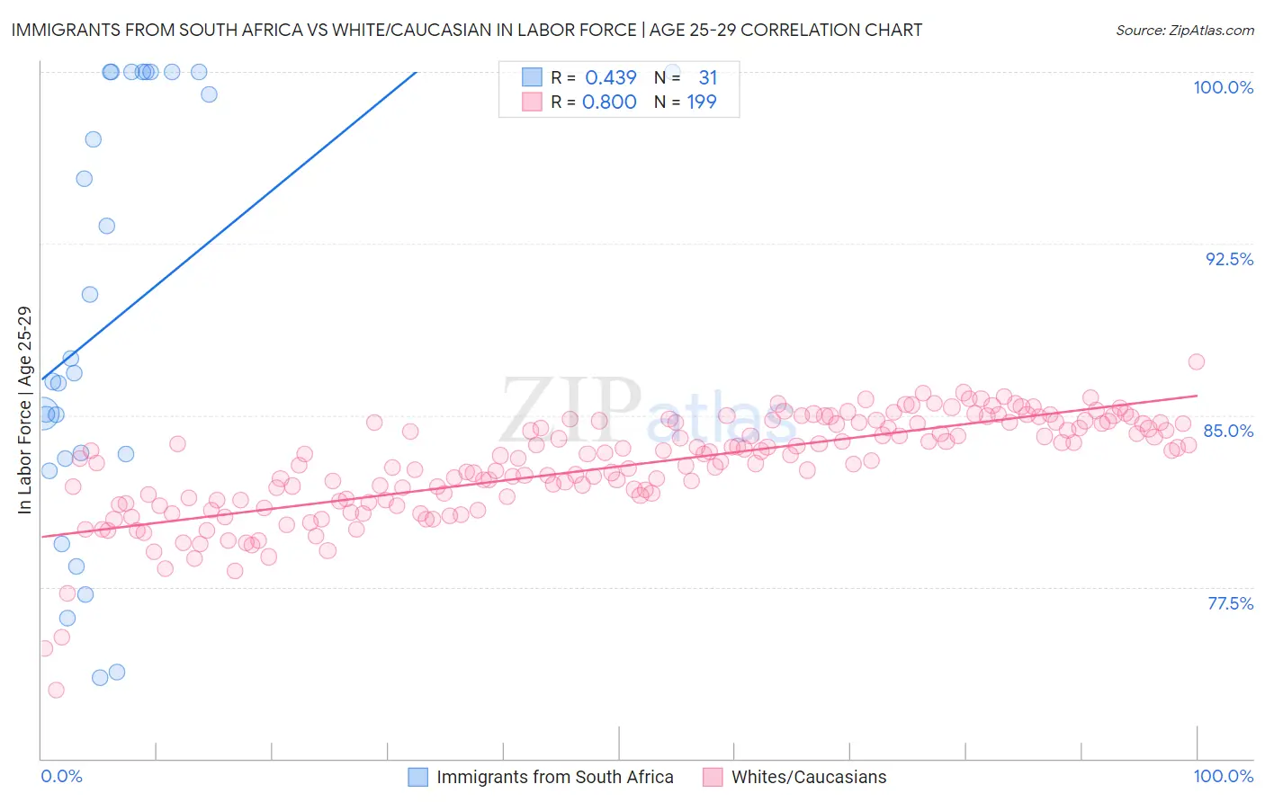 Immigrants from South Africa vs White/Caucasian In Labor Force | Age 25-29