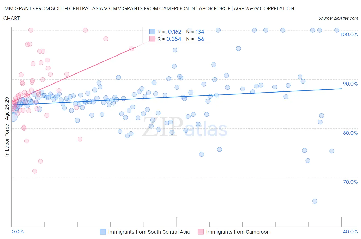 Immigrants from South Central Asia vs Immigrants from Cameroon In Labor Force | Age 25-29