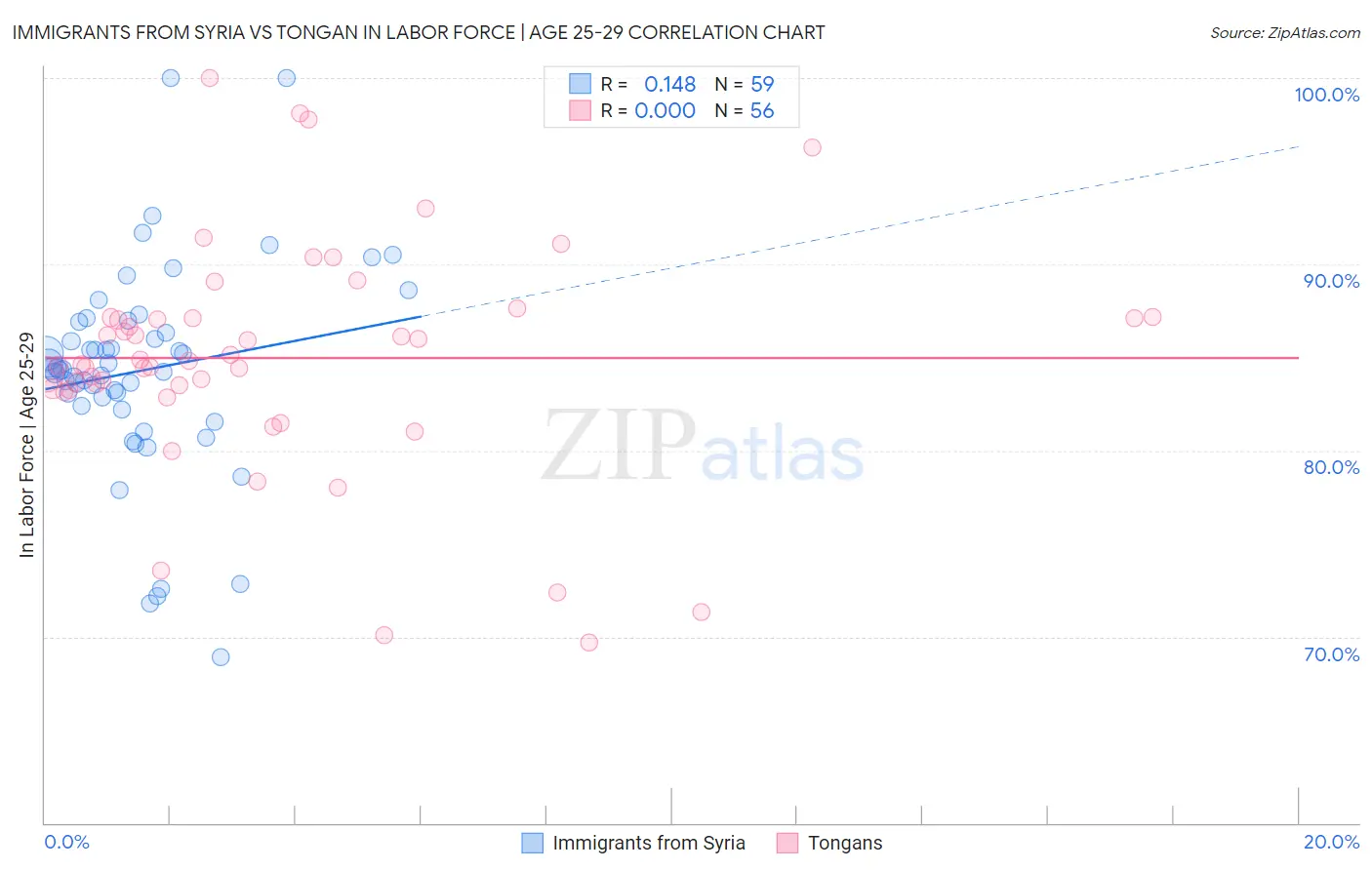 Immigrants from Syria vs Tongan In Labor Force | Age 25-29