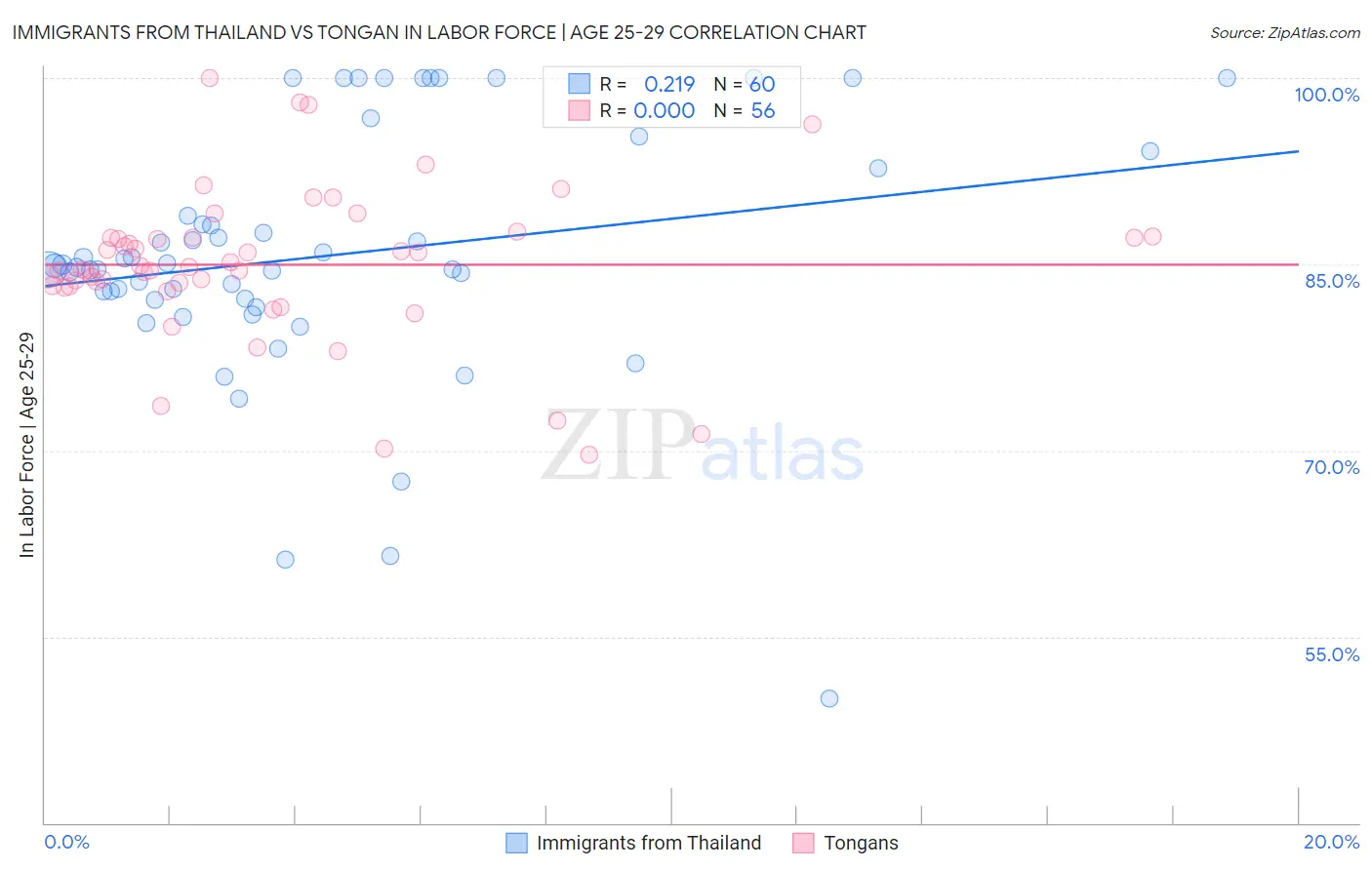Immigrants from Thailand vs Tongan In Labor Force | Age 25-29