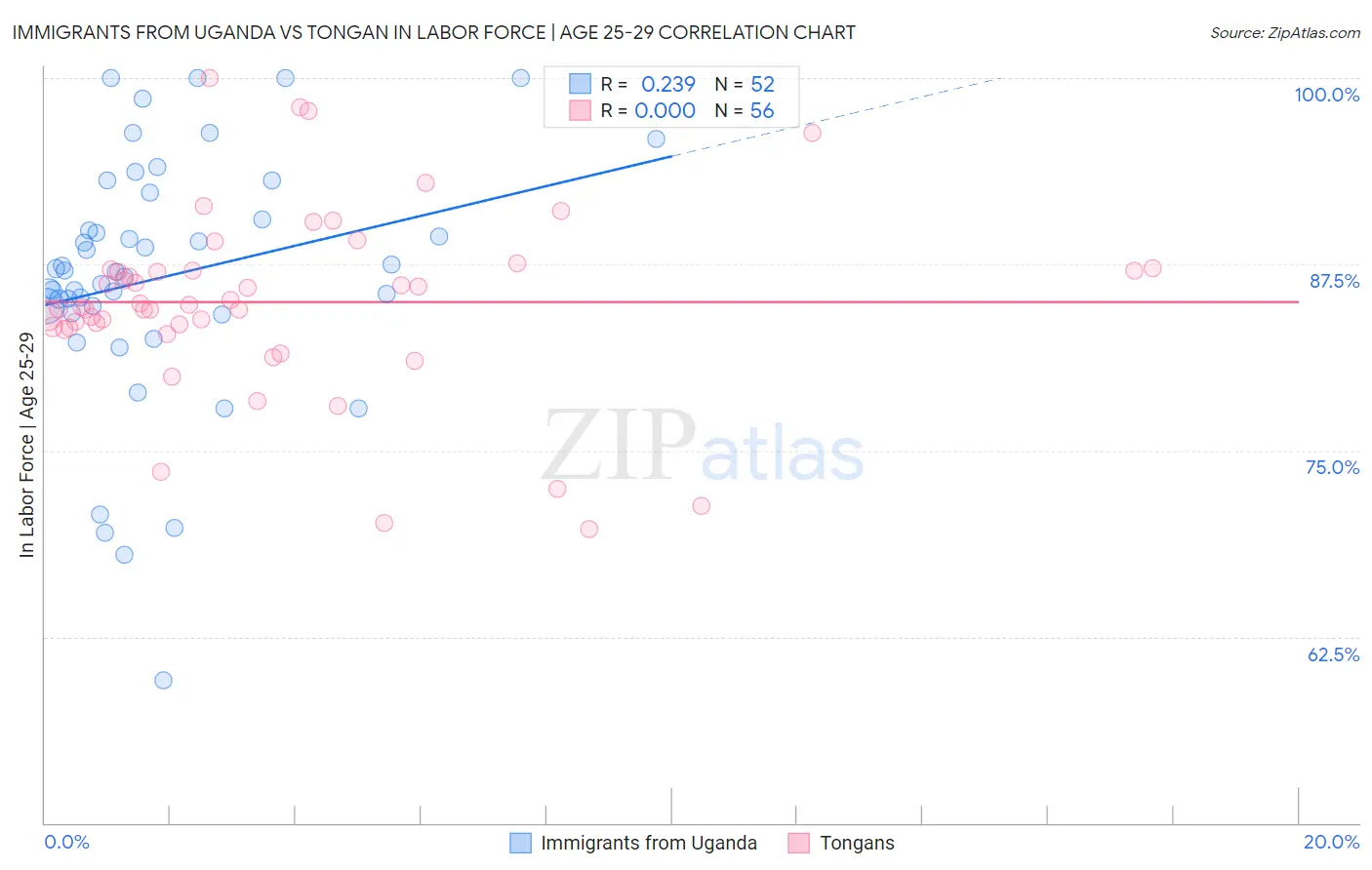 Immigrants from Uganda vs Tongan In Labor Force | Age 25-29