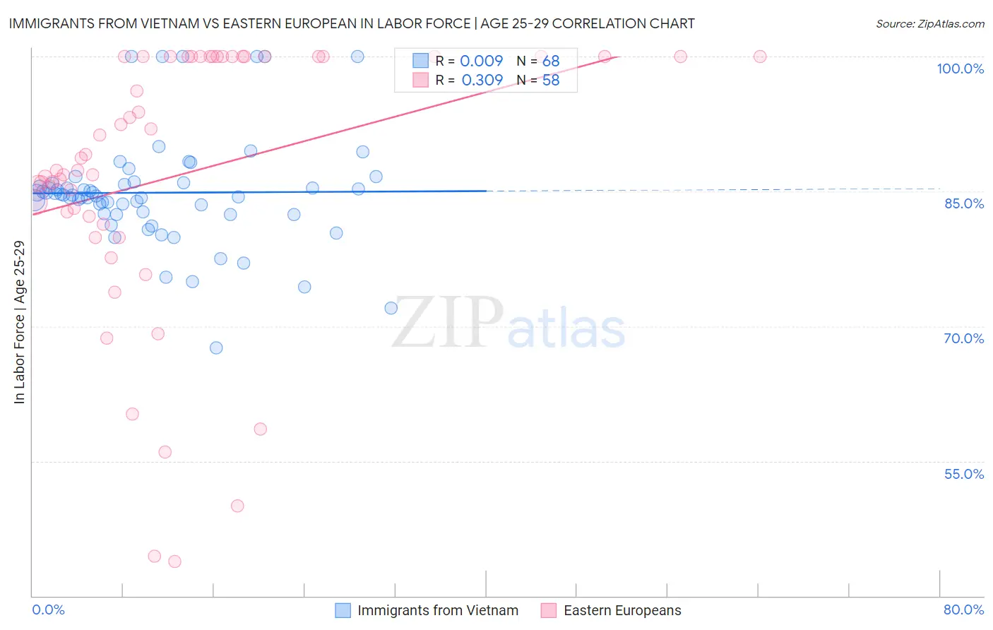 Immigrants from Vietnam vs Eastern European In Labor Force | Age 25-29