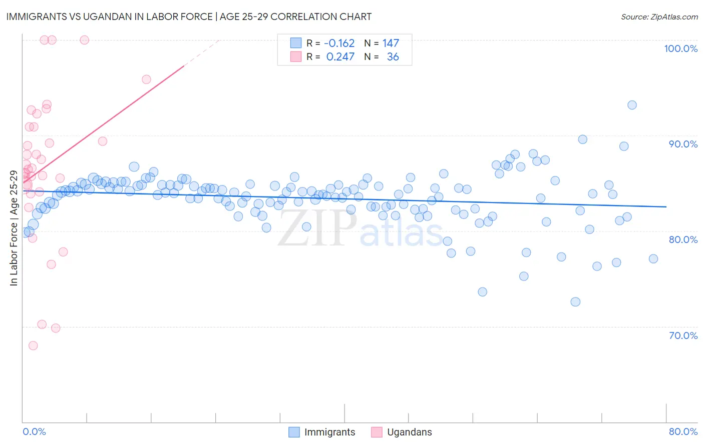 Immigrants vs Ugandan In Labor Force | Age 25-29