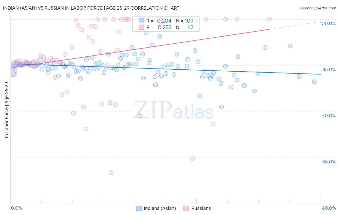 Indian (Asian) vs Russian In Labor Force | Age 25-29