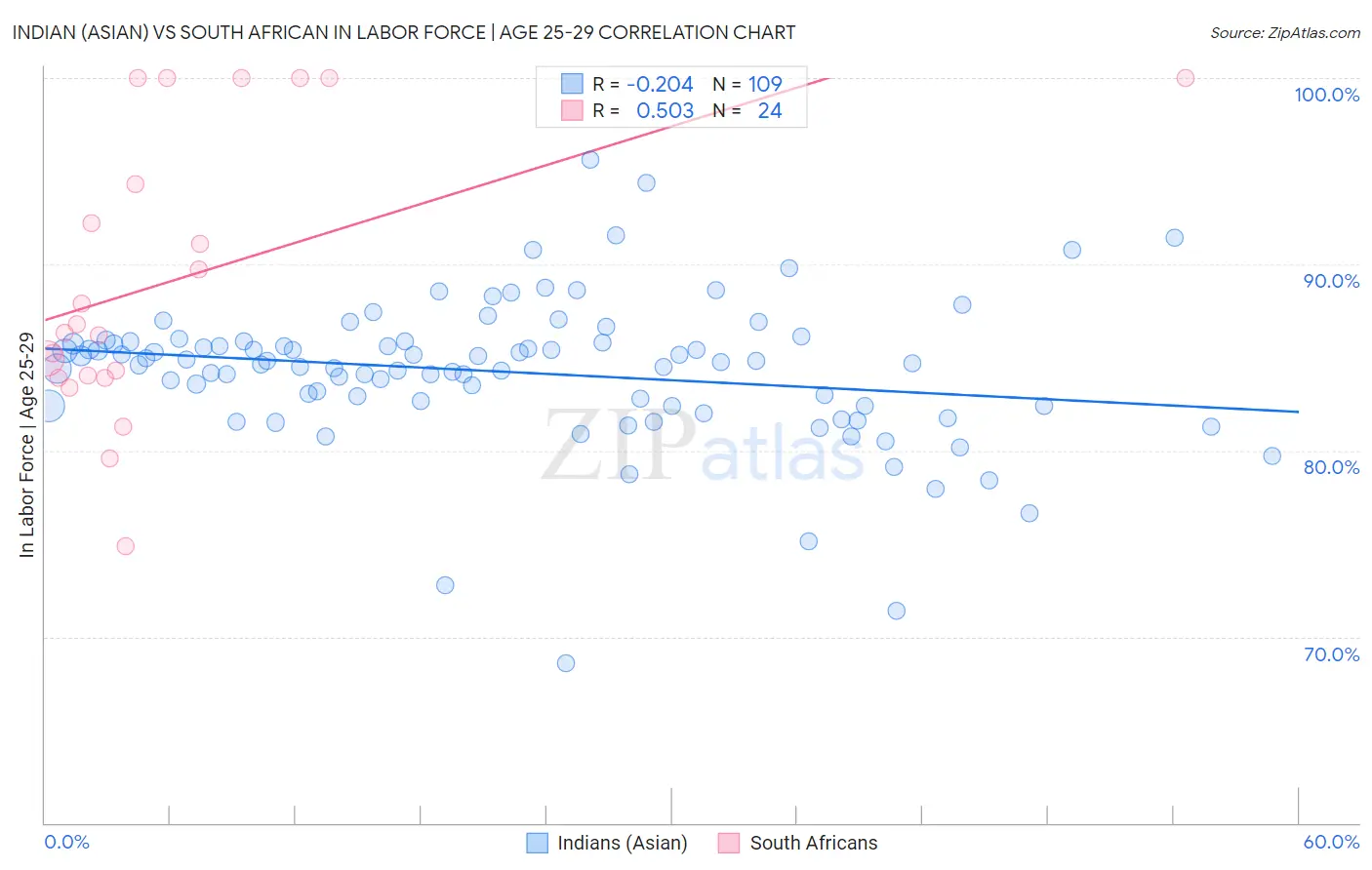 Indian (Asian) vs South African In Labor Force | Age 25-29