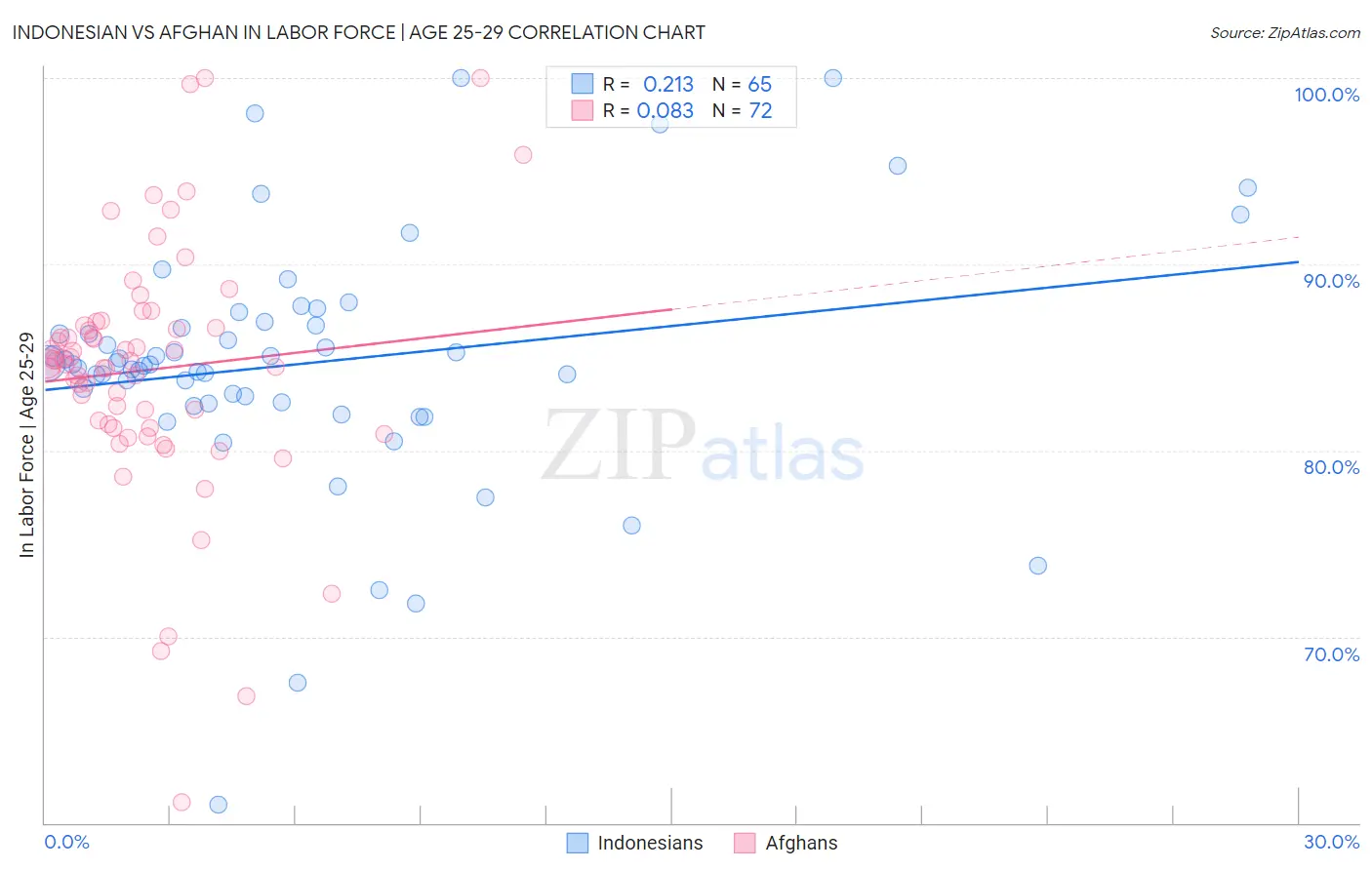 Indonesian vs Afghan In Labor Force | Age 25-29