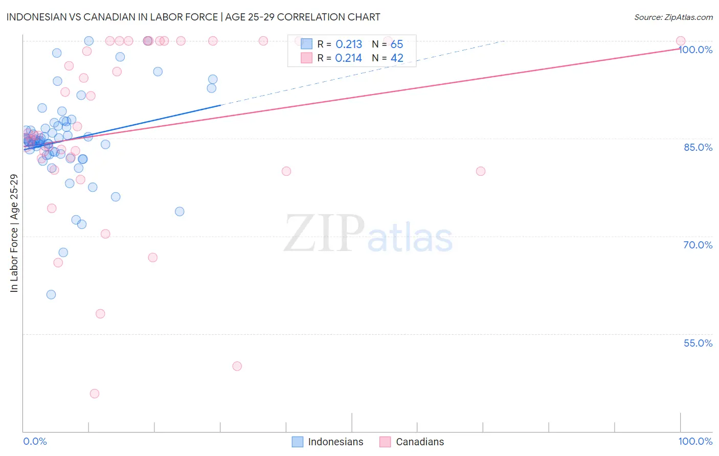 Indonesian vs Canadian In Labor Force | Age 25-29