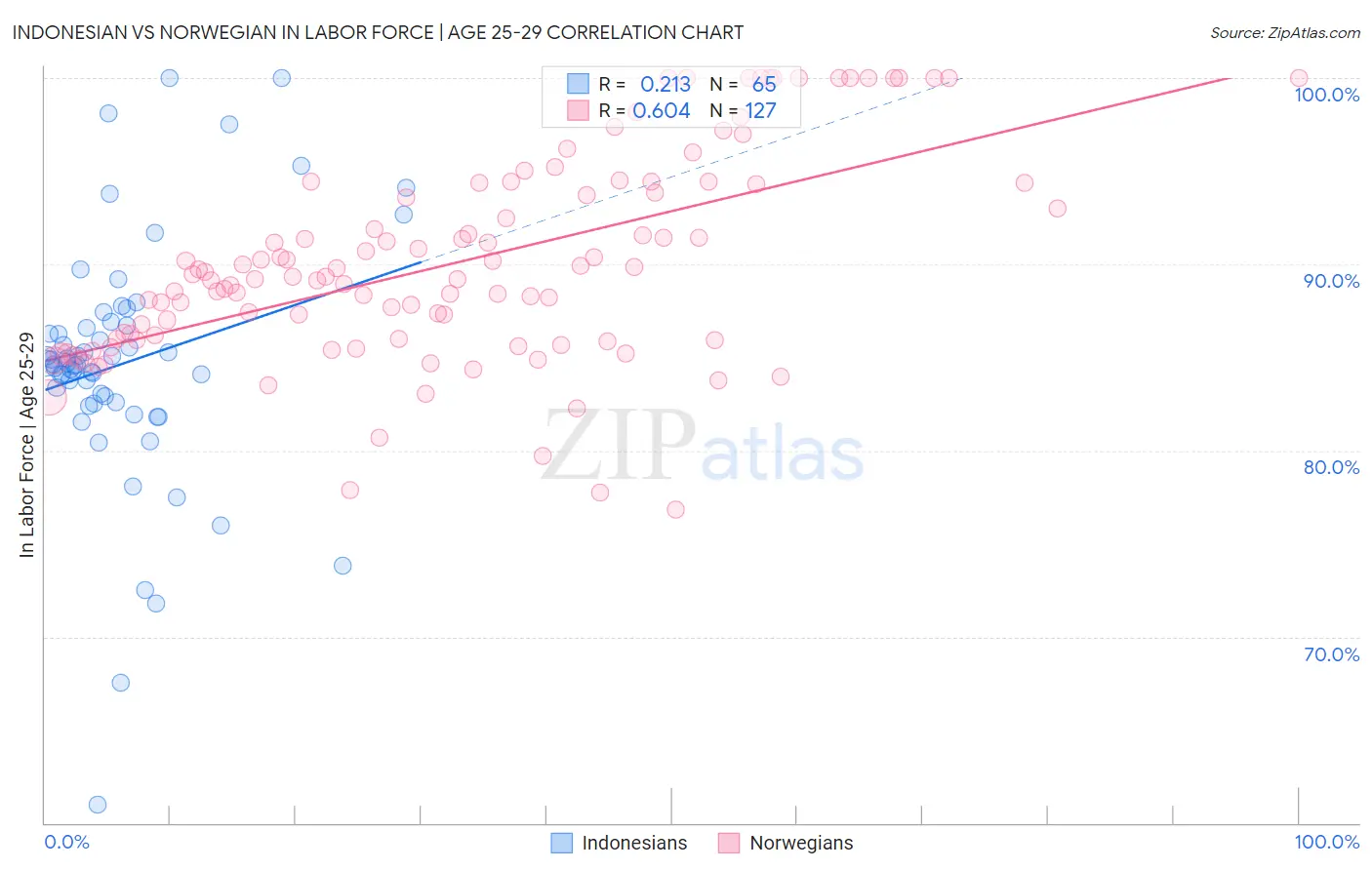 Indonesian vs Norwegian In Labor Force | Age 25-29