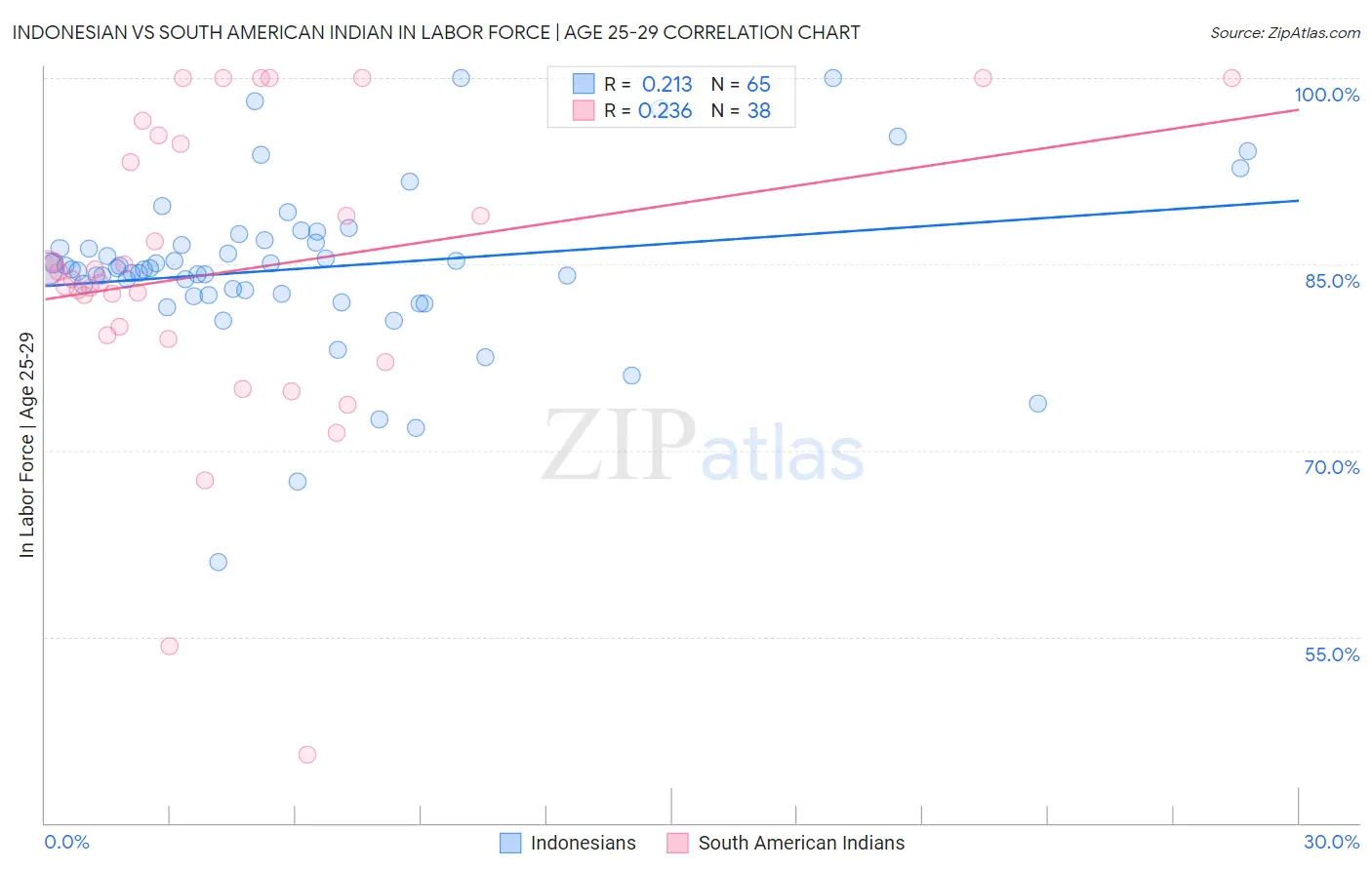 Indonesian vs South American Indian In Labor Force | Age 25-29